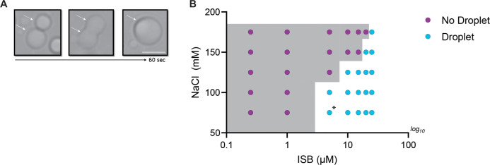 Figure 1—figure supplement 1.