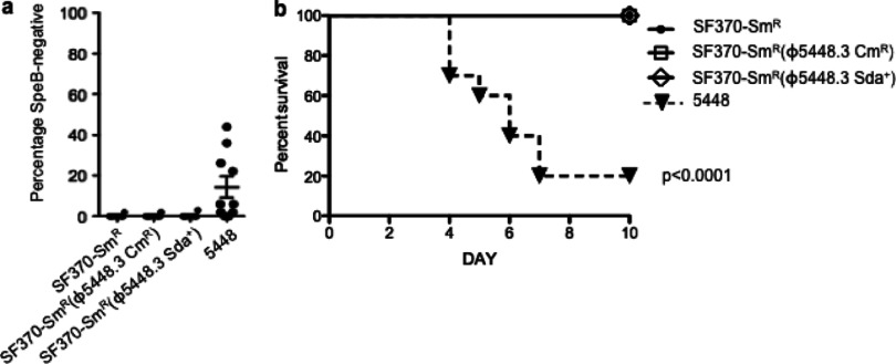 Fig 5