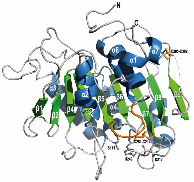 FIGURE 4