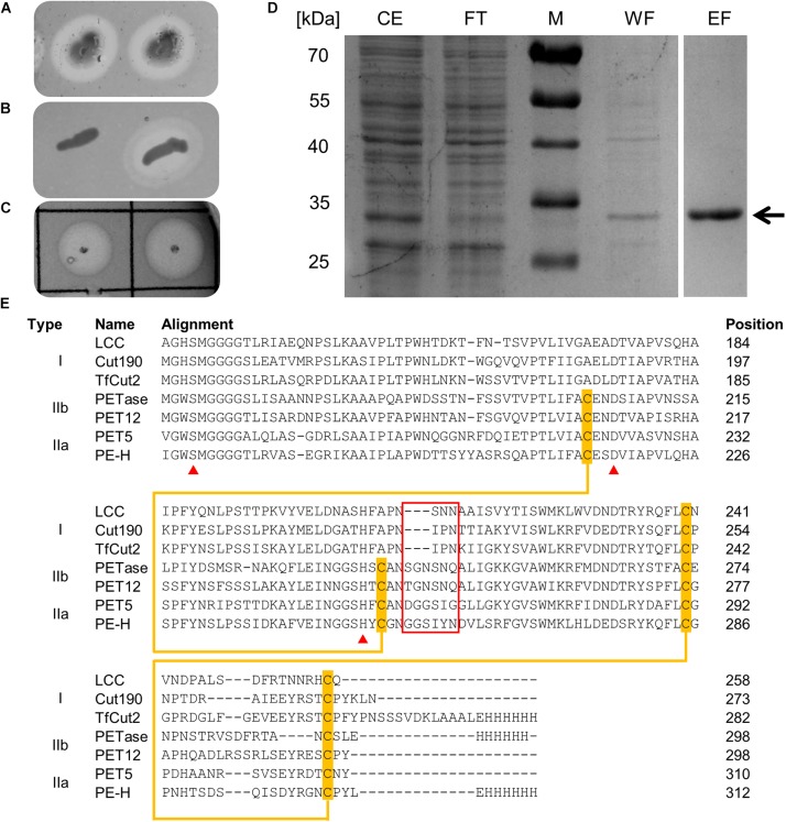 FIGURE 1