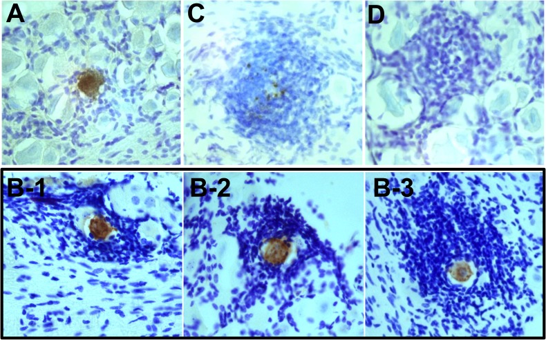 Fig 6