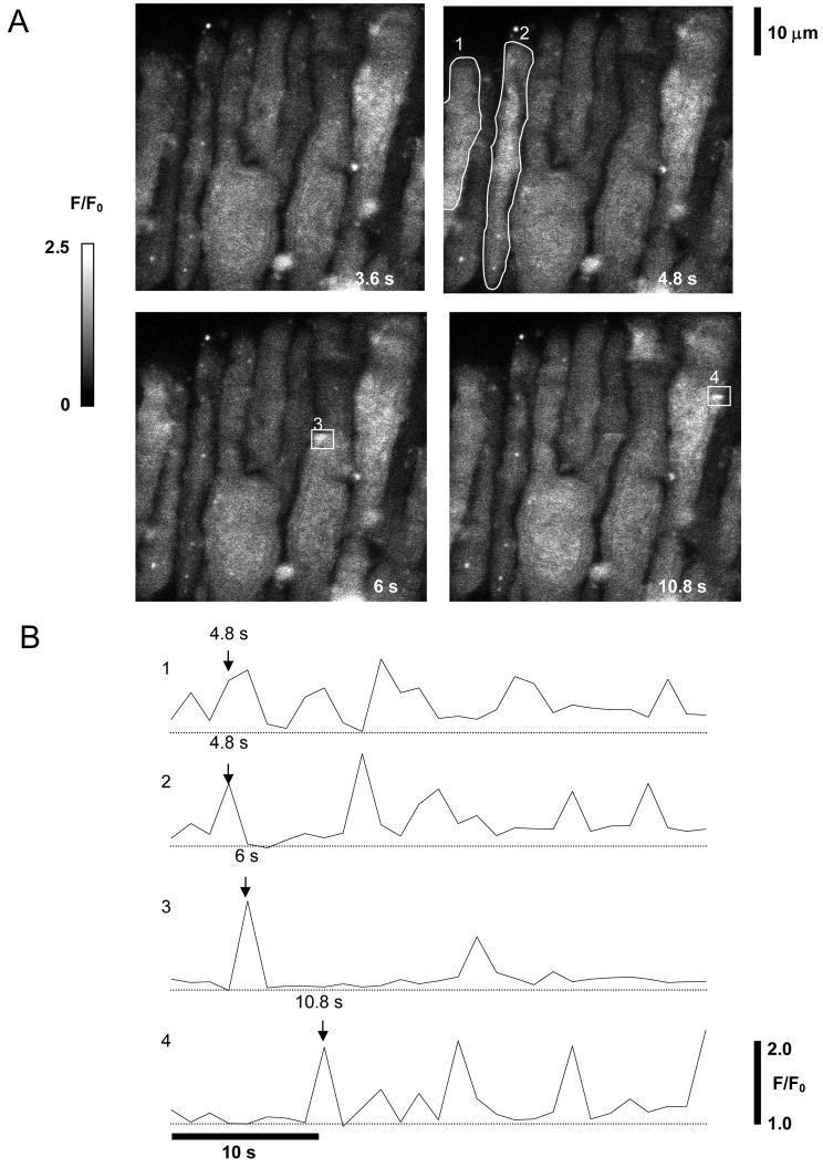 Fig 2