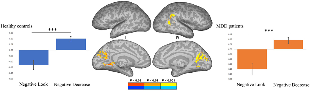 Fig. 9