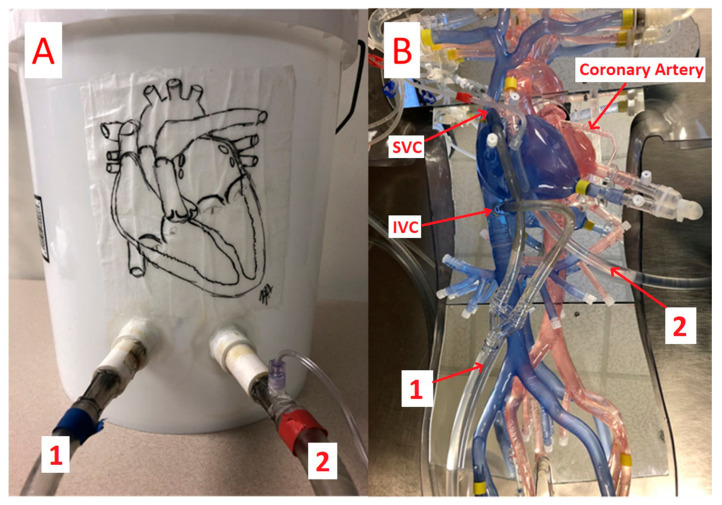 Figure 13