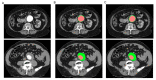 Figure 30