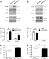 Fig 12