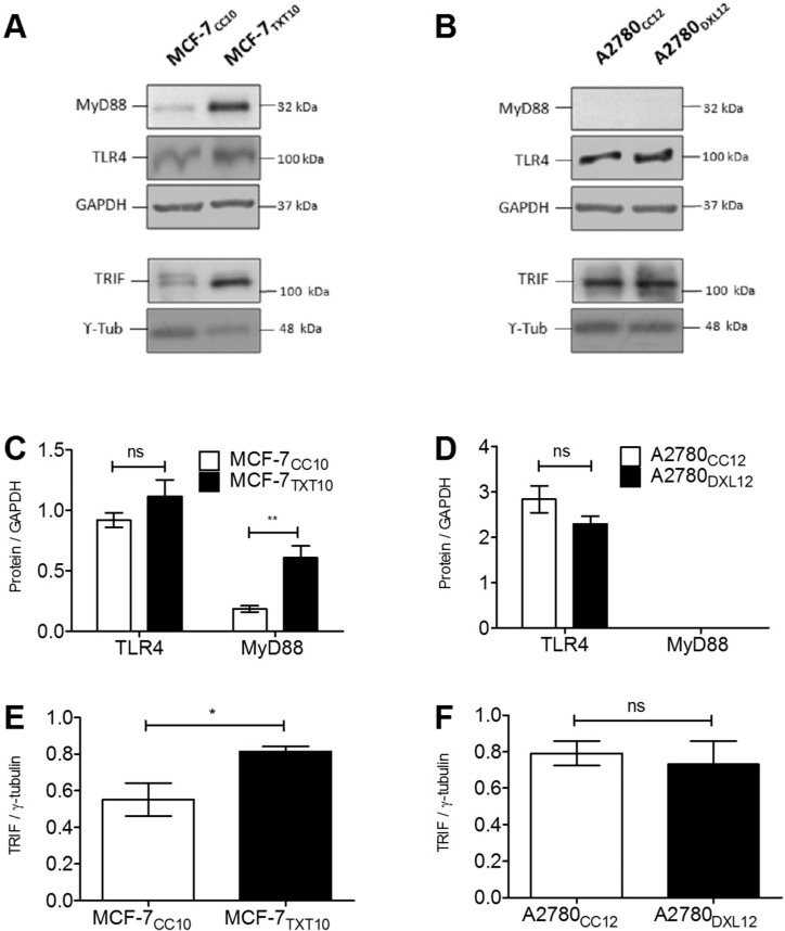 Fig 12