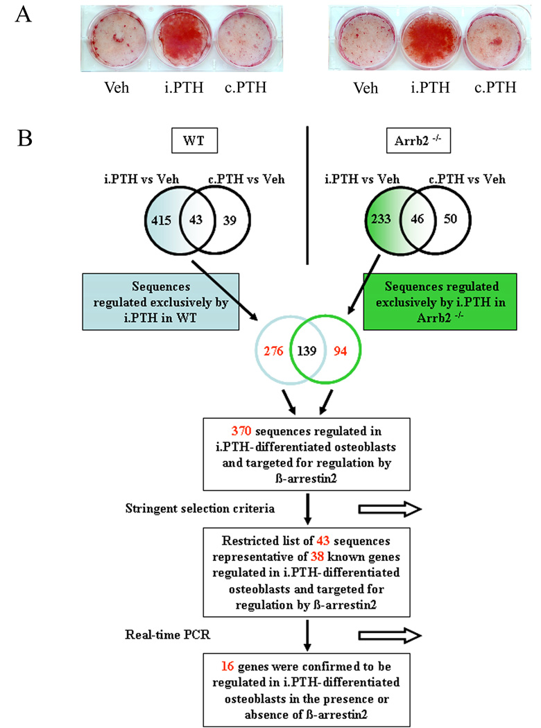 Fig.1