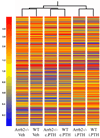 Fig.3