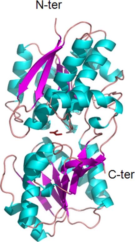 FIGURE 1.