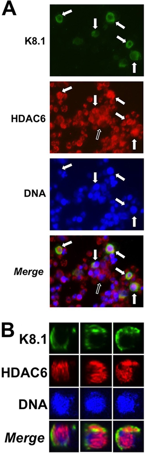 FIG 10