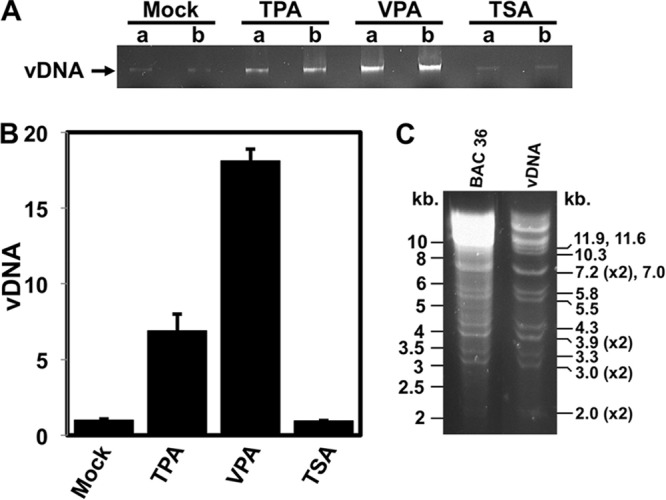 FIG 4