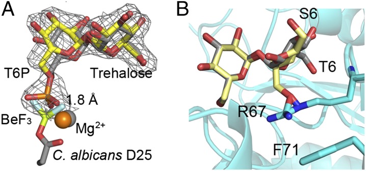 Fig. 4.