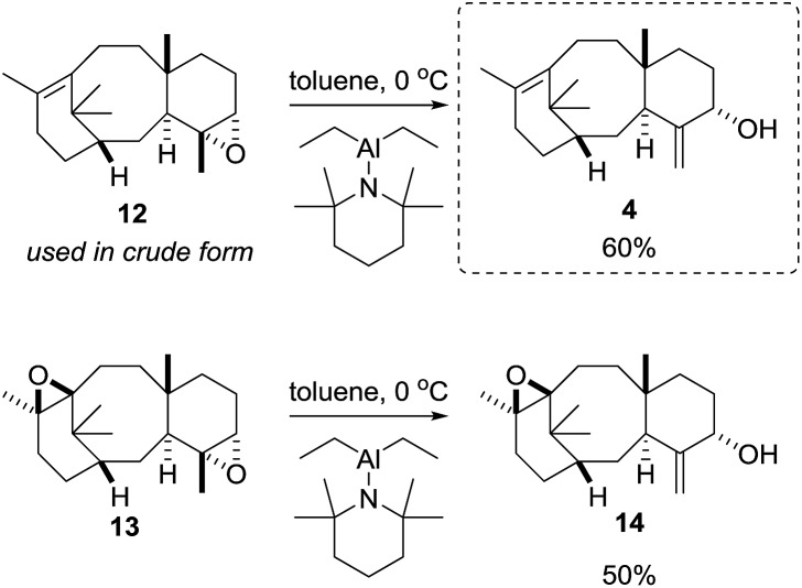 Scheme 6