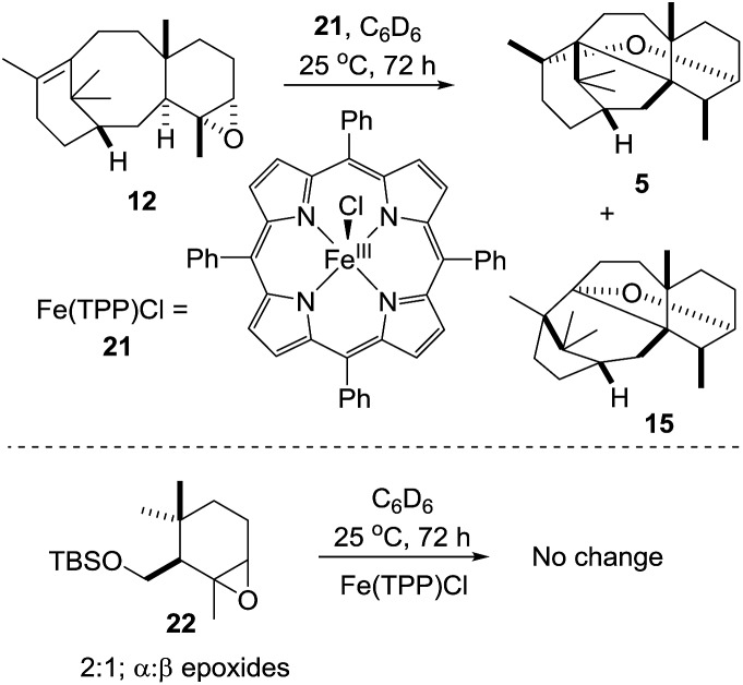 Scheme 9