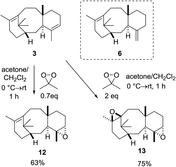 Scheme 5