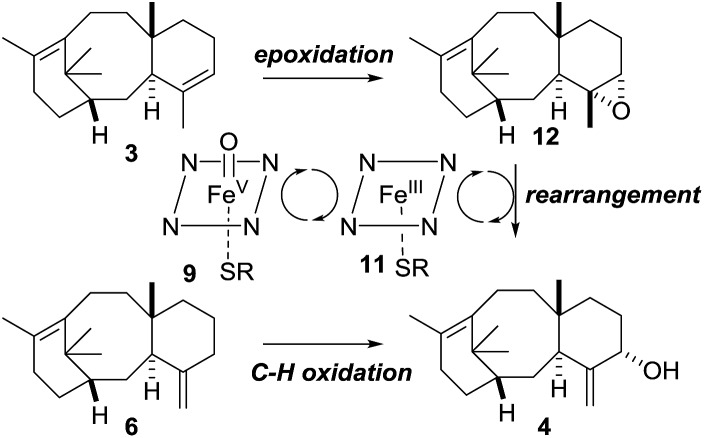 Scheme 11