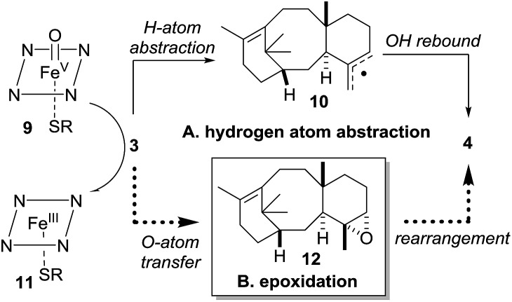 Scheme 4