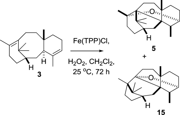 Scheme 10