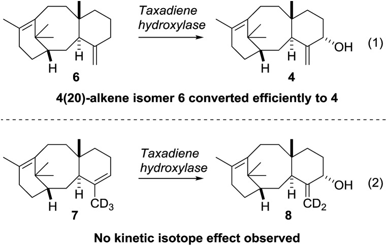 Scheme 3