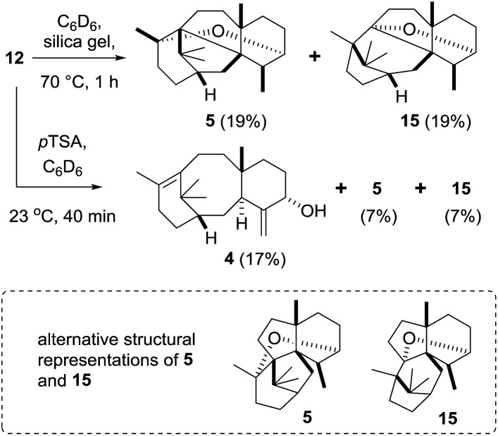 Scheme 7