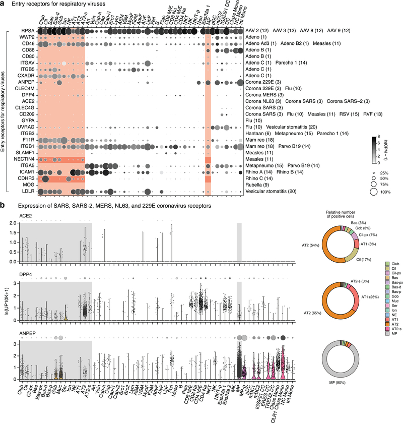 Extended Data Figure 9.