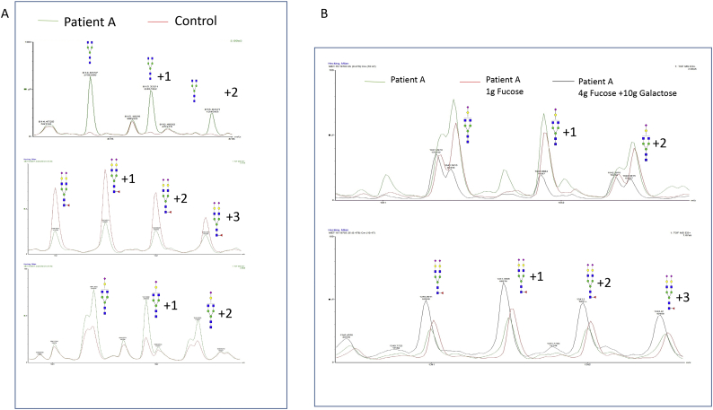 Fig. 6