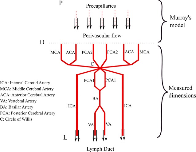 Fig. 2