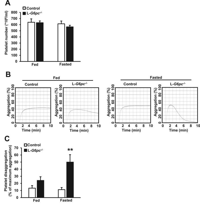 Figure 7
