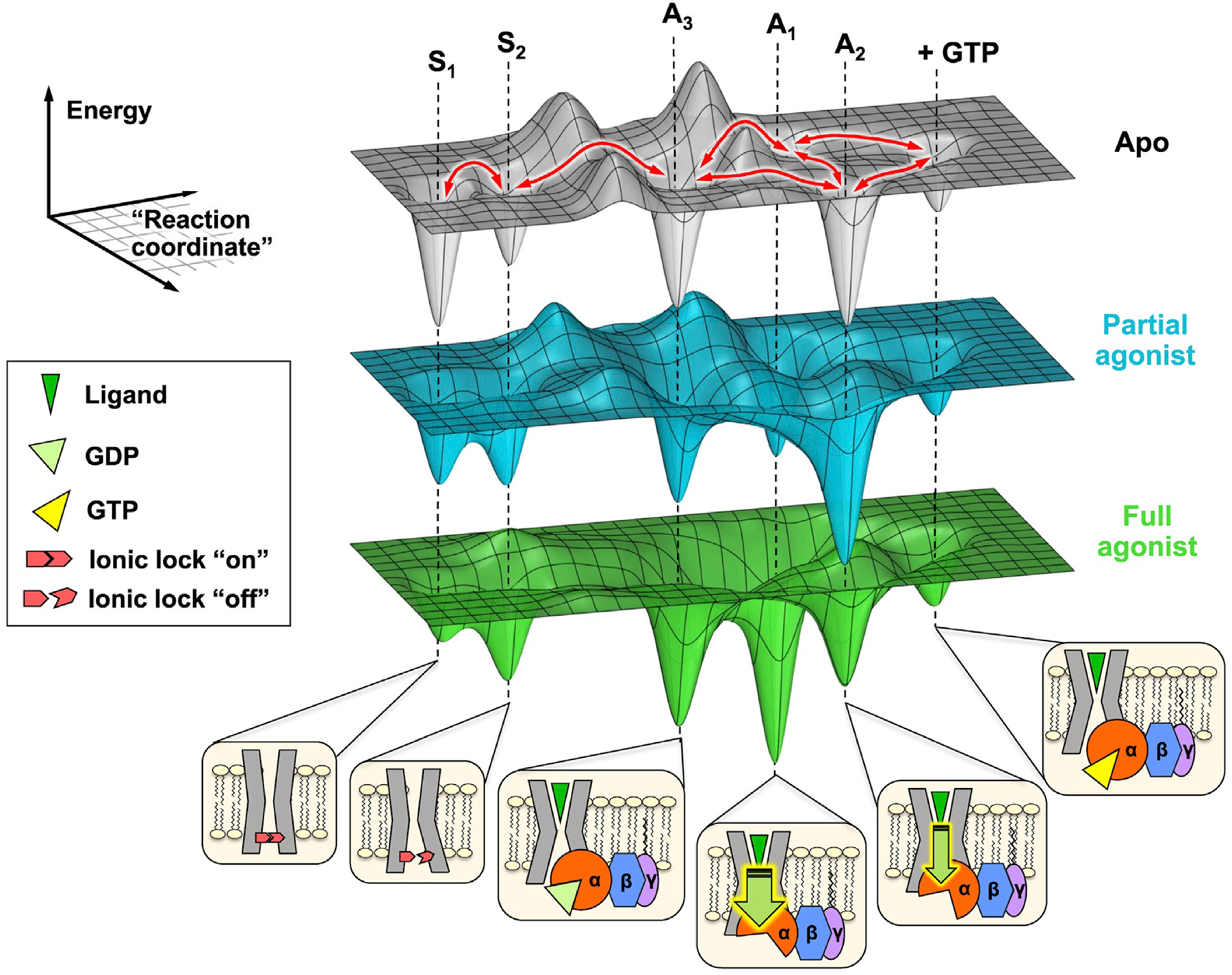 Figure 7.