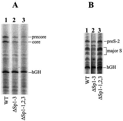 FIG. 7