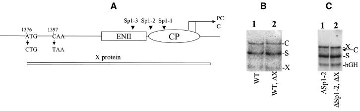 FIG. 5