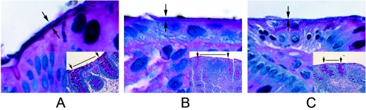 FIG. 3.