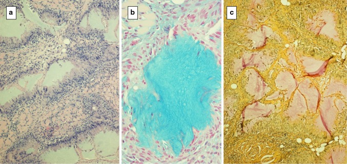 Fig. 3