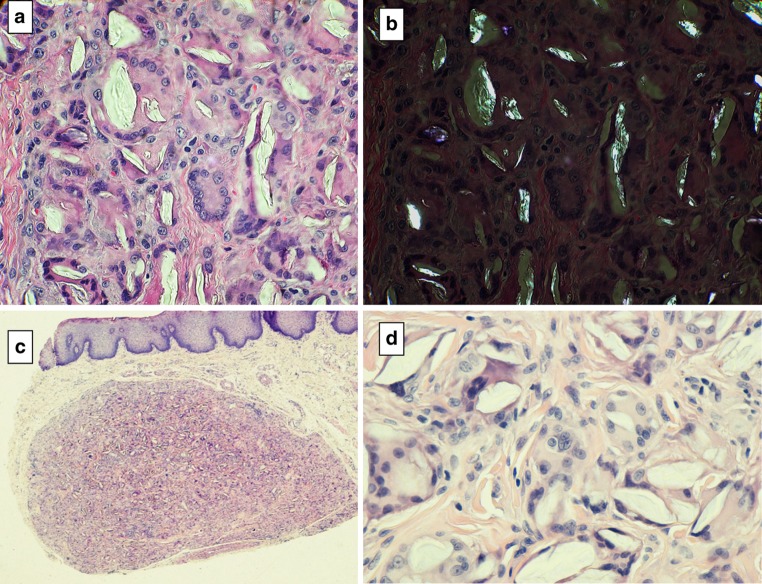 Fig. 6