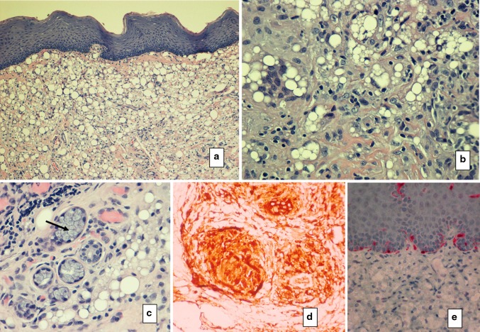 Fig. 7