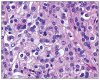 Figure 3b