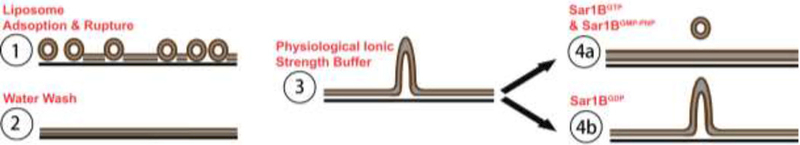 Figure 9: