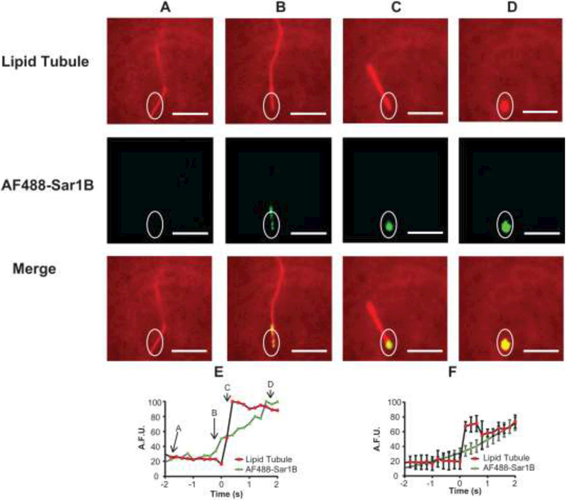 Figure 6: