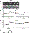 Figure 7: