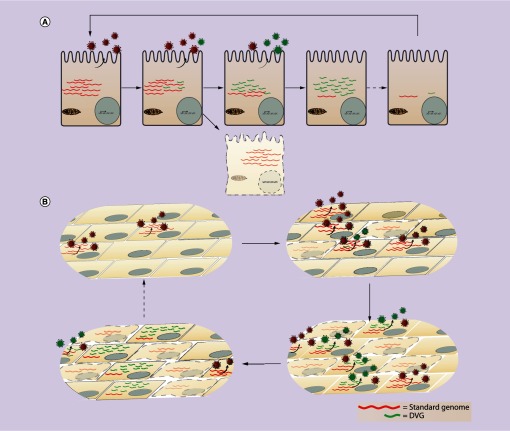 Figure 3. 