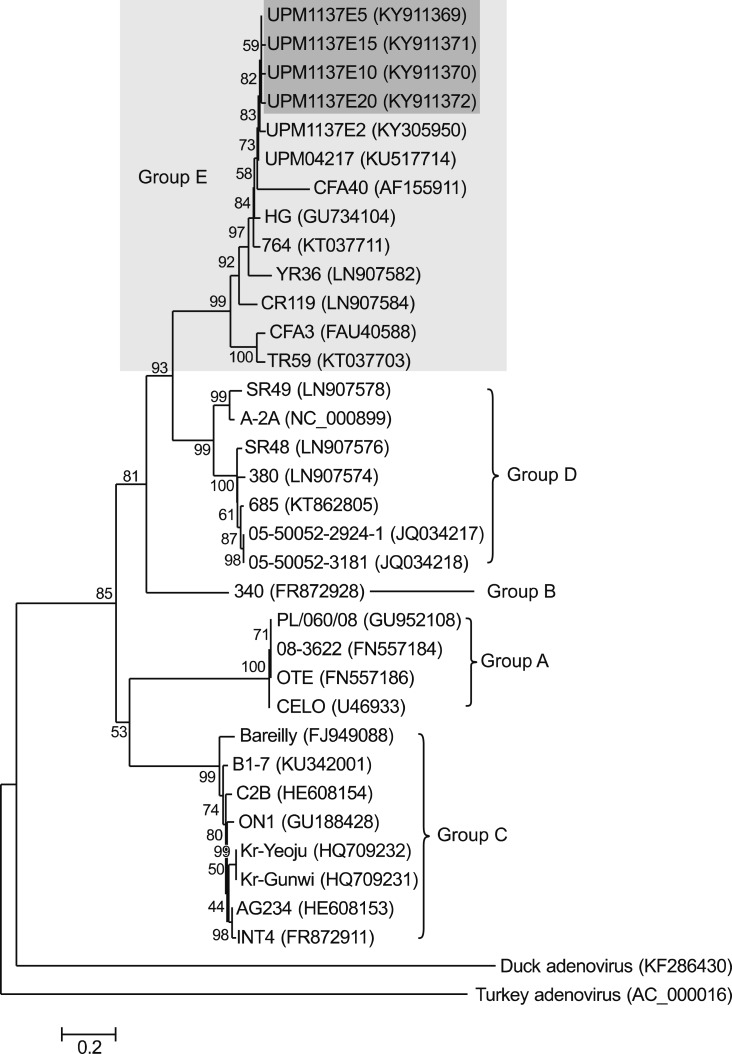 Fig. 10