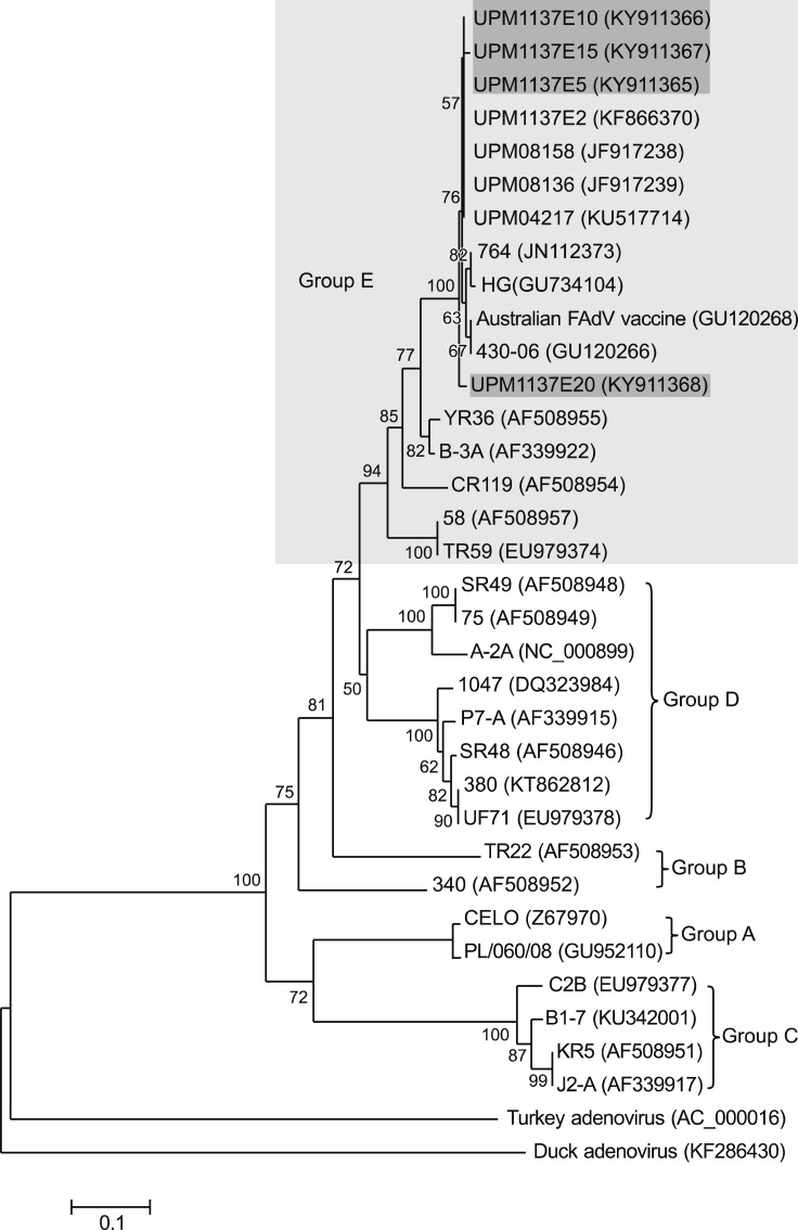 Fig. 9