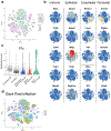 Extended Data Figure 1.