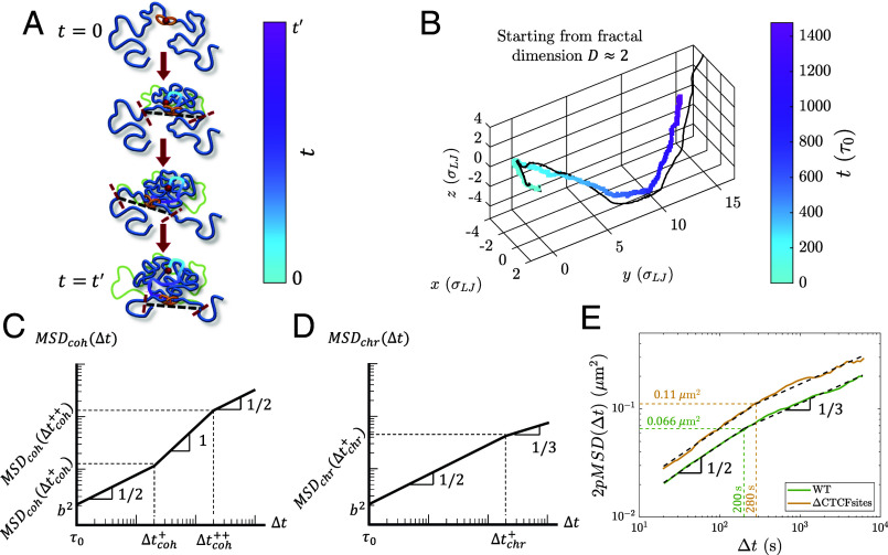 Fig. 11.