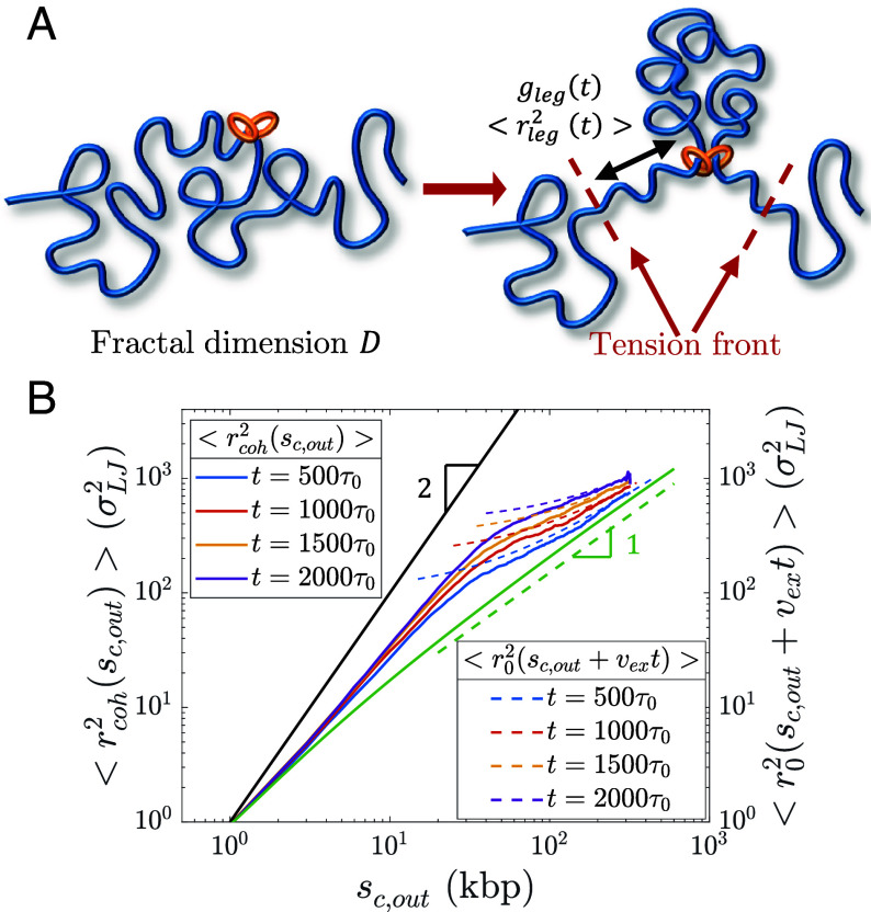 Fig. 10.