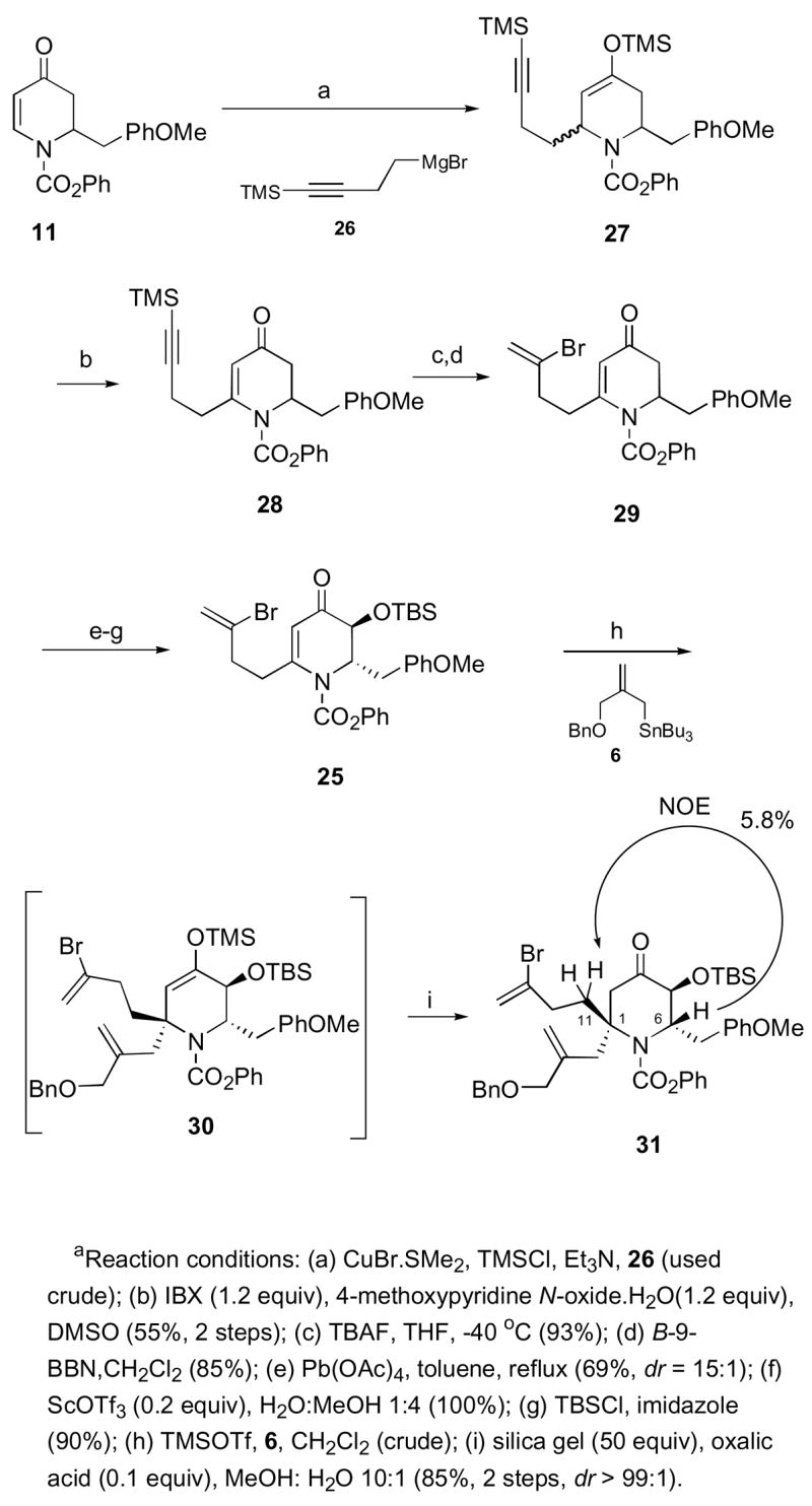 Scheme 8