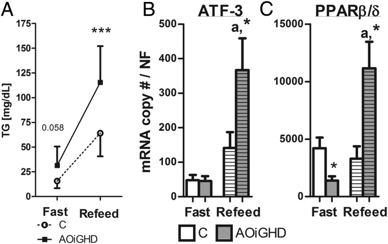 Figure 6.