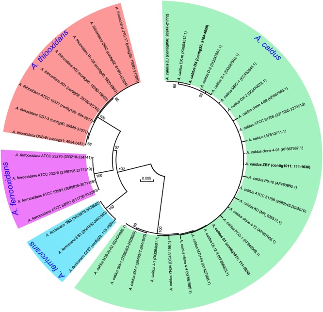 FIGURE 1