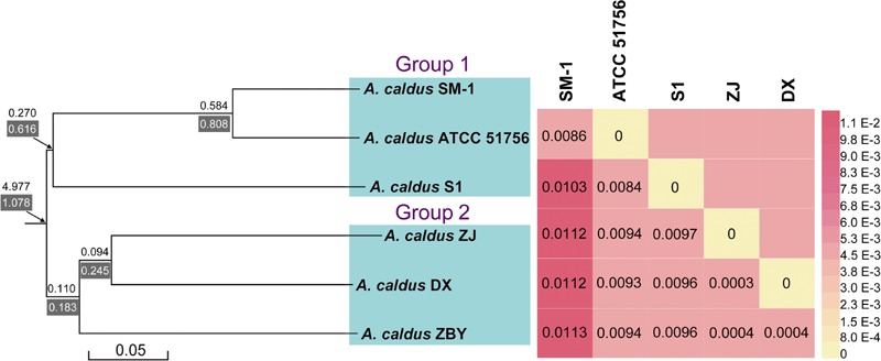 FIGURE 2